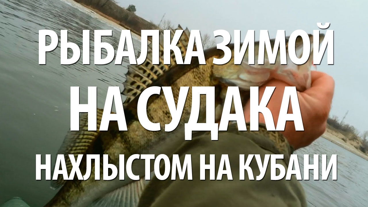 ЗИМНЯЯ ЛОВЛЯ СУДАКА по ОТКРЫТОЙ ВОДЕ. РЫБАЛКА НАХЛЫСТОМ на КУБАНИ