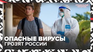 картинка: Денге, Чикунгунья и свиной грипп: что нас ждёт - Специальный репортаж