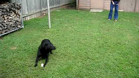 An old dog learns a new trick, part 1.