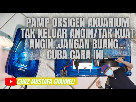 Baiki pamp angin akuarium rosak atau tekanan angin telah kurang... Jom cuba.