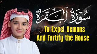 Surat Al-Baqarah complete | To Expel Demons and Fortify the House | The Child Reader