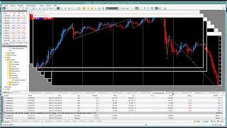 2024-002 Livetrading H4 Devisenmarkt