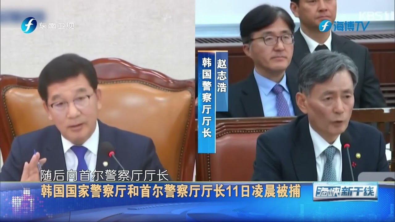 韩国国会议长禹元植11日宣布启动戒严事态国政调查