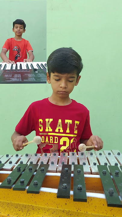 Dr. Dre ft. Snoop Dogg - Still D.R.E. | Glockenspiel