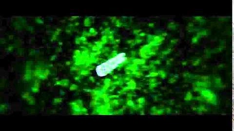 My New Chill Intro V1