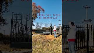 Might mule gate openers