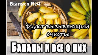 Банан - пользы и вред, энергетическая ценность, совместимость бананов с растительными продуктами