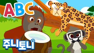 ABC 동물 친구들과 함께하는 모험 🎵 | 주니토니와 배우는 알파벳 동물 동요