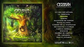 CELTIAN 