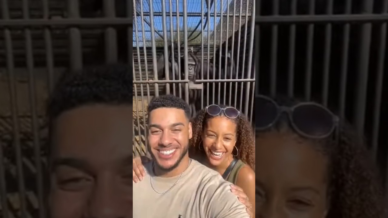 We went to the zoo, THEN this happened 🤯 