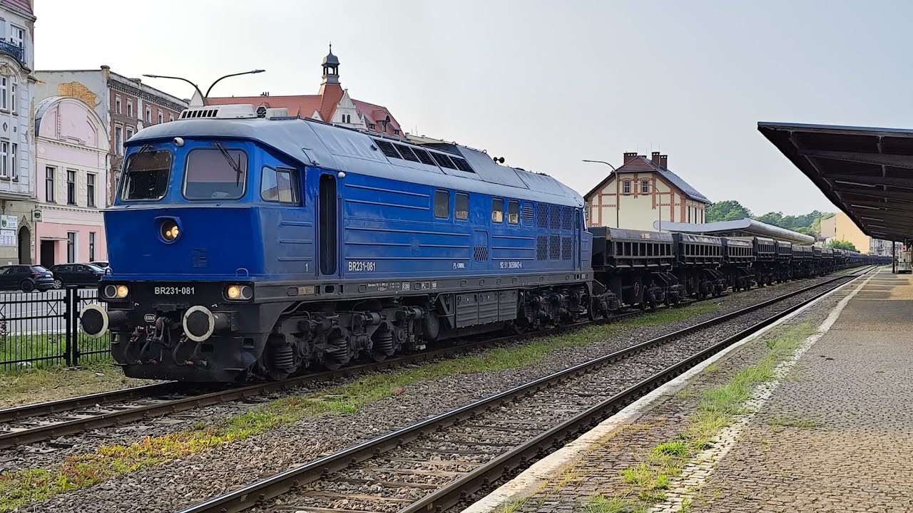 BR231-081 Omniloko z Radwanami na stacji Świdnica Miasto | PŚ 