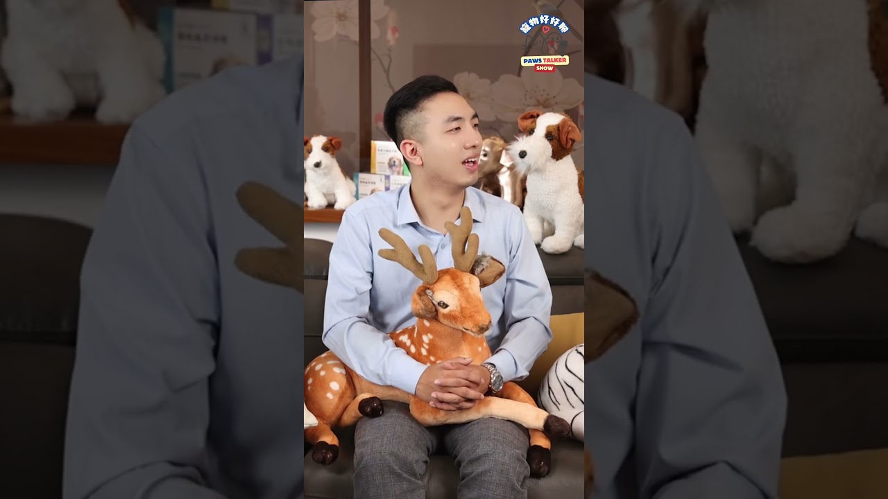 結紮可以申請保險嗎？#毛孩星球#pawstalker #寵物好好聊#petsplanet#寵物節紮#寵物保險#保險理賠- YouTube