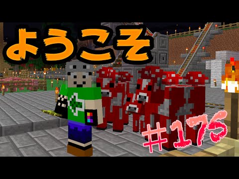 茸牛運搬 まぐタウンでシチュー飲みたい まぐにぃのマインクラフト実況 175 Youtube
