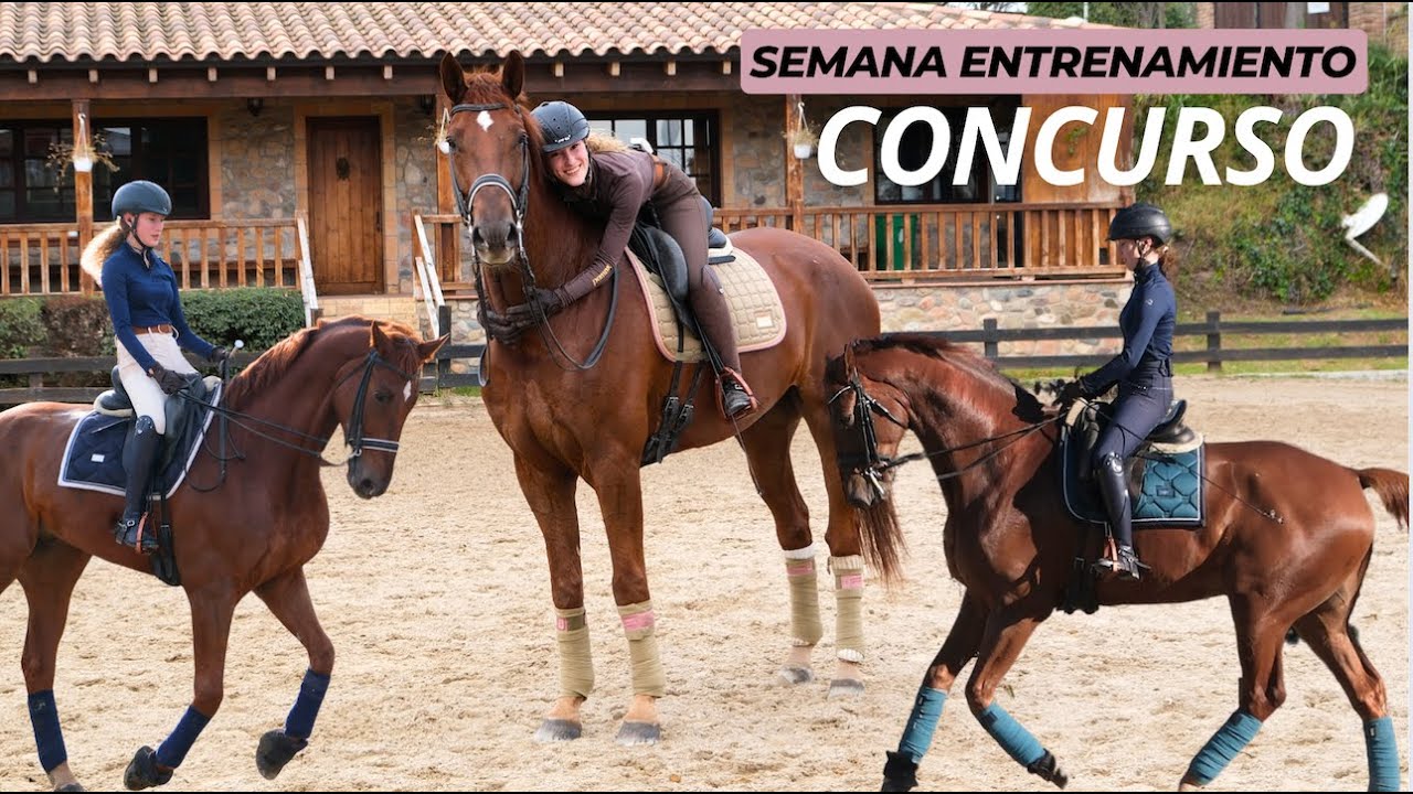 Semana preparación de nuestro primer concurso