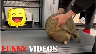 Best Funny Videos compilation Of The Month 🤣🤣🤣