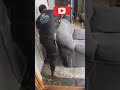 #madurai karupayurani 👍sofa shampoo scrubbing cleaning 💯#deepcleaning 📞 NOW KMS HFCS 💥🔥💪🙏