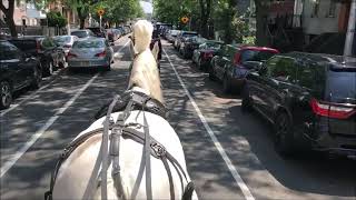 Horse drawn Hearse with Frank R Bell Funeral Home in Brooklyn NY Aug 17 2020
