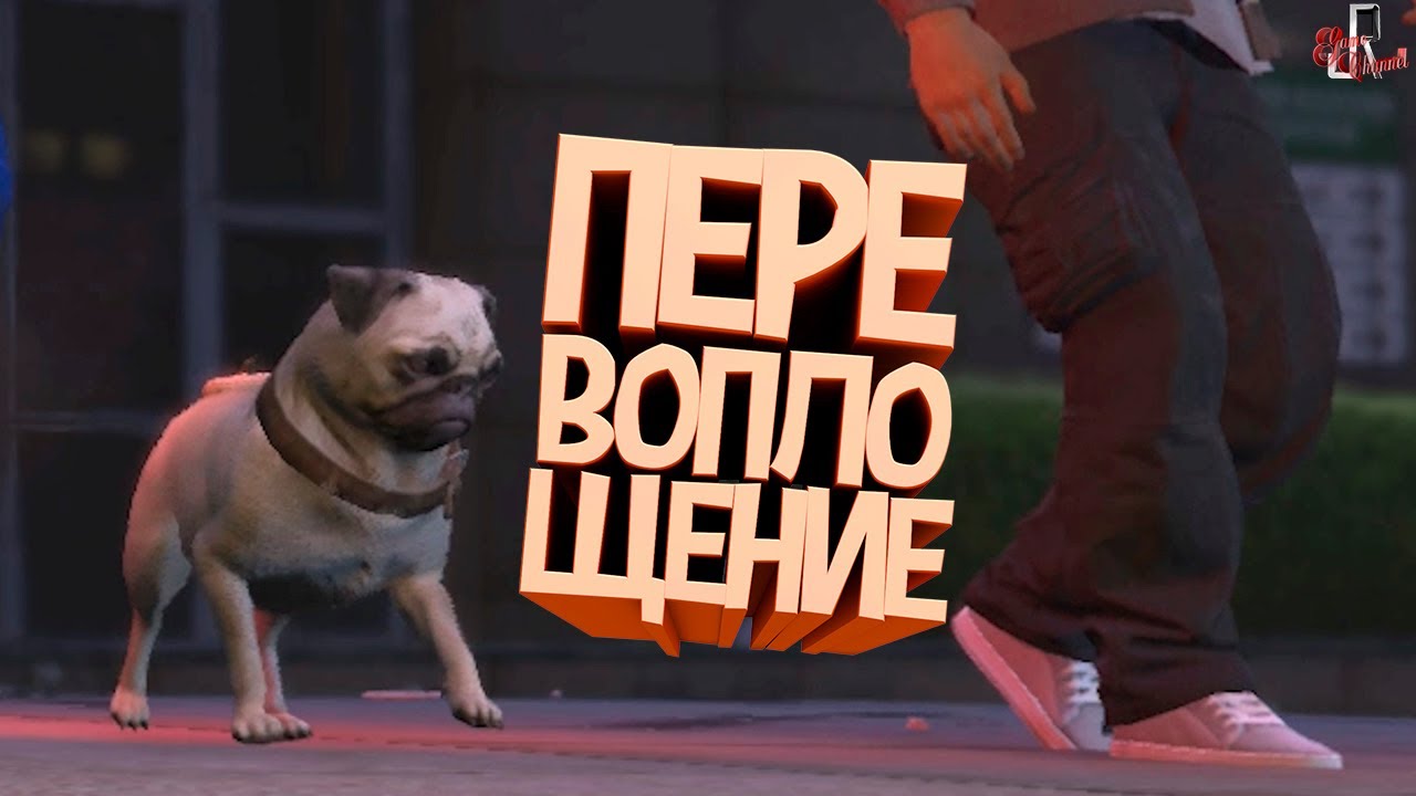 Перевоплощение ( GTA RP )