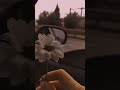 Hamoshiyan Ki Zubaan Suit Youtube Viral 