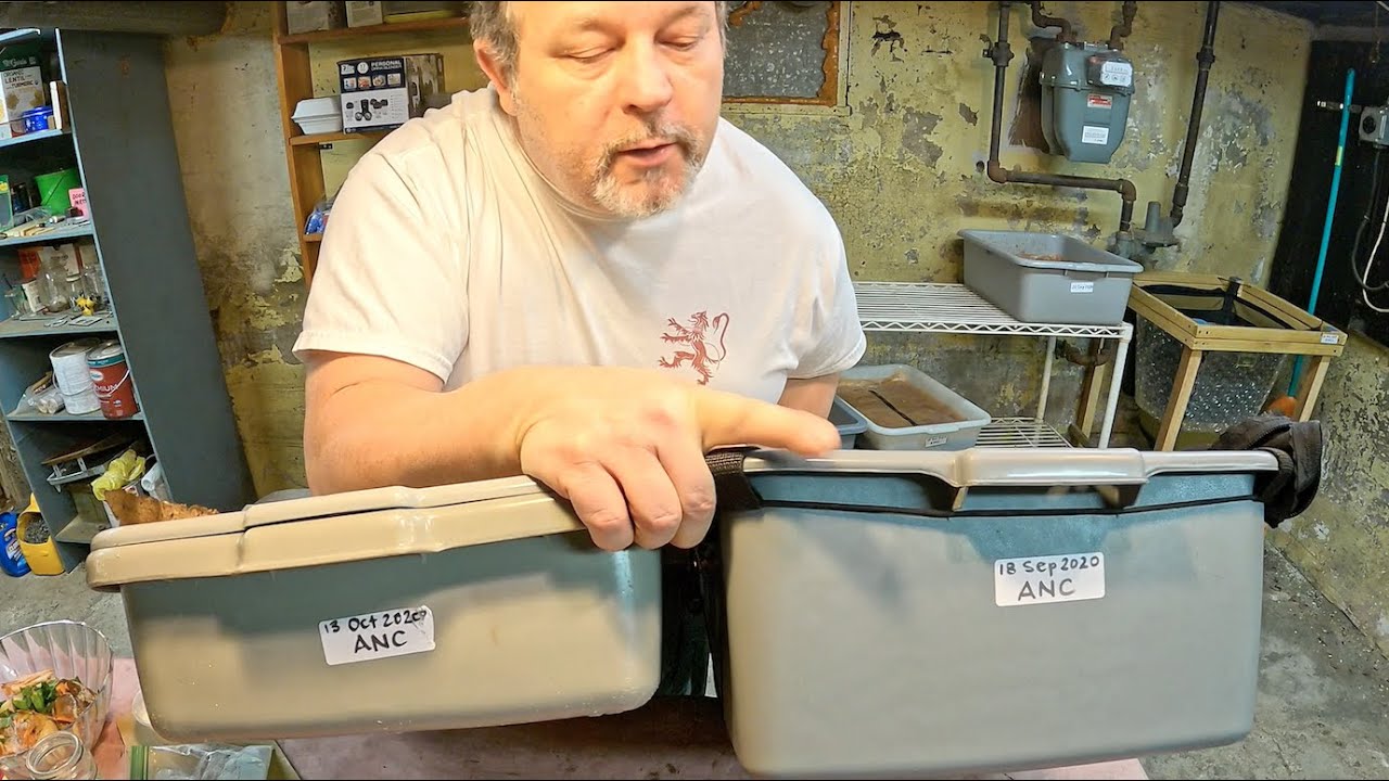 Борьба с клещами в контейнерах для червей ANC с помощью извести — вермикомпостирование