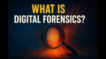 What Is Digital Forensics? How Can Digital Forensics Expert Help You?