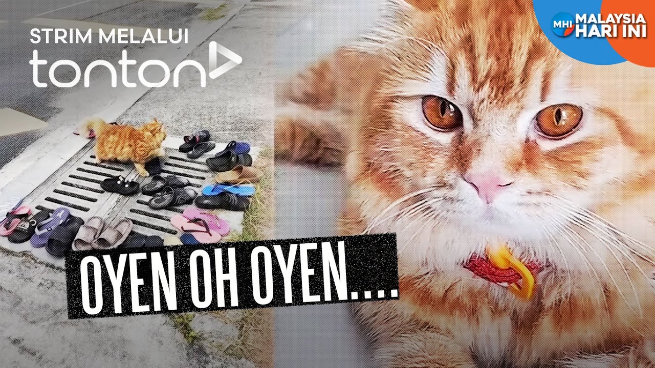 [CLIP] MHI (14 Aug 2025): Oyen Oh Oyen | Tonton
