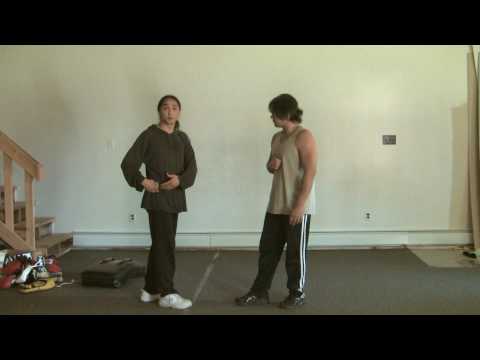 Video Wing Chun Front Kick And Slant Kick Fundamentals (Part... - youtube