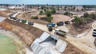 EP2 Amazing Strong Force Massive Bulldozer D60P Clearing Mud Backfill 100 Truck Moving Dirt