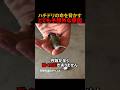 ハチドリの命を脅かすとても予想外な原因#shorts