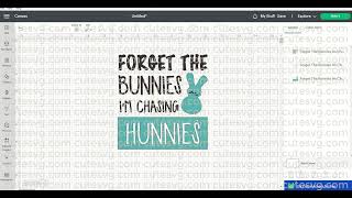 Forget the Bunnies I'm Chasing Hunnies SVG, PNG, DXF, EPS Cut files