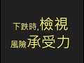 20240725 下跌時,檢視風險承受力