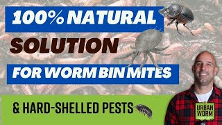 100% Natural Way To Kill Mites & Hard-Shelled Pests In Your Worm Bin