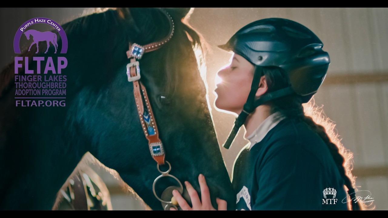 Finger Lakes Thoroughbred Adoption Program, Giving Horses A Second Chance To Be Winners!