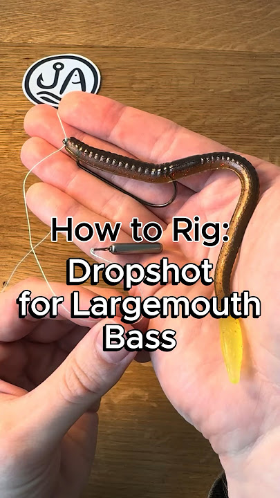 How to rig a drop shot for largemouth bass #fishing #bassfishing #fishingtips #largemouthbass