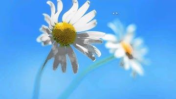 Creating an AIP for Acrobat XI | Adobe Acrobat