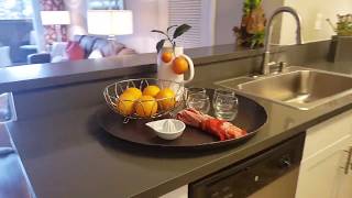 Park Pointe Apartments Two Bedroom, Two Bathroom Unit 1064