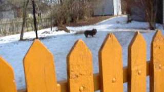MVI_4296.AVI
