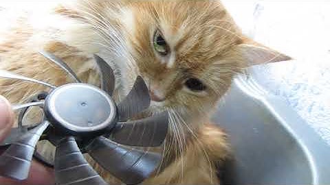 Землянка программирование! Харьковская область ардуино! T129215SU 12V 0.5A. подключение и смазка!