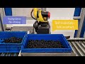 Demo Bin-Picking mit Roboter