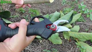 Vine P20 電動剪定バサミ バイン紹介動画