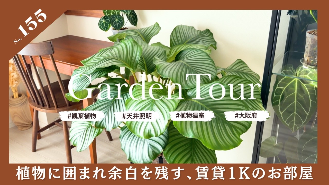 🕊Garden Tour🕊155：植物に囲まれ余白を残す、賃貸1Kのミニマル