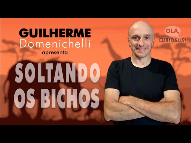 JUPARÁ, O "URSO DE MEL"- Soltando os Bichos - Programa 36 - Olá, Curiosos! 2021