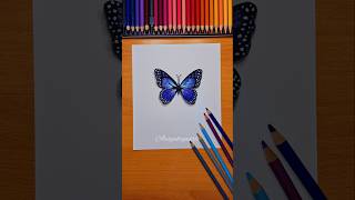 Download Lagu Yuk upgrade gambar kupu kupu kamu jadi kaya gini MP3