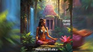 Primon - Shanti (Original Mix)