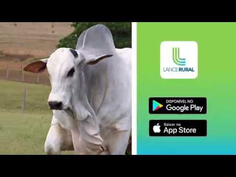 Lance Rural – Apps no Google Play