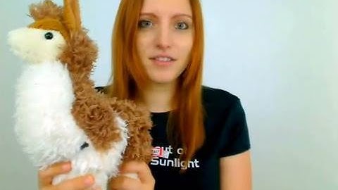 Ubuntu Help: Change Window Buttons - Lucid Lynx