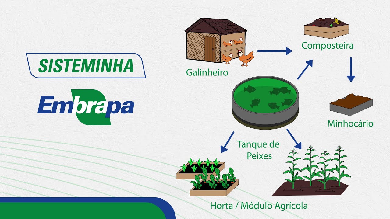 Como montar um Sisteminha completo (e manter funcionando)