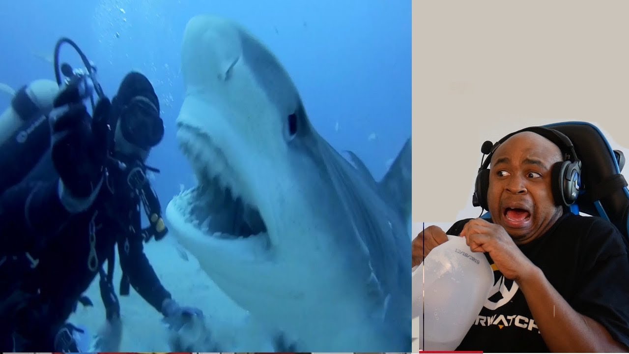 sea of thieves THE OCEAN IS WAY DEEPER THAN YOU THINK #7