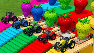 CLAAS vs STEYR vs DEUTZ vs FENDT vs VALTRA TRACTORS BATTLE WITH STRAWBERRY - Farming Simulator 22