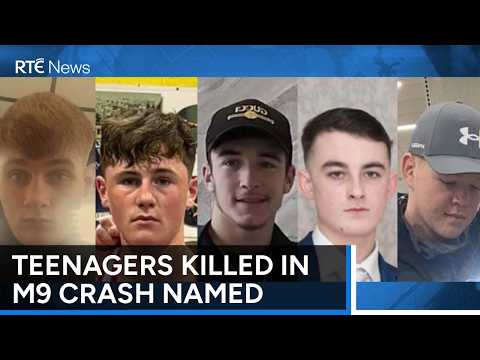 M9高速道路での衝突事故を受け、アイルランド警察が追跡訓練を導入へ | RTÉニュース